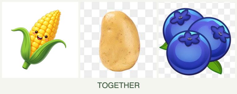 Can you plant corn, potatoes and blueberries together?