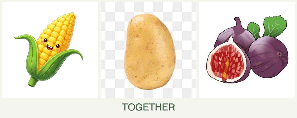 Can you plant corn, potatoes and figs together?