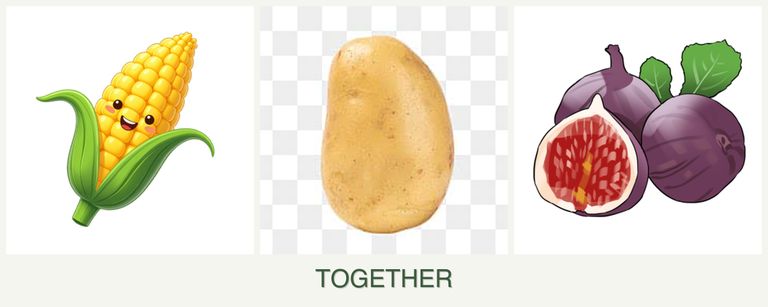 Can you plant corn, potatoes and figs together?