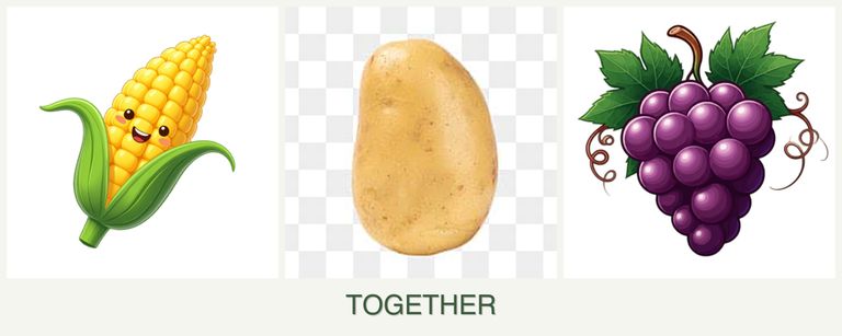 Can you plant corn, potatoes and grapes together?