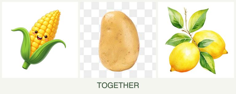 Can you plant corn, potatoes and lemons together?