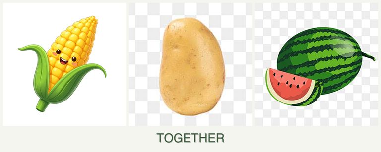 Can you plant corn, potatoes and melons together?
