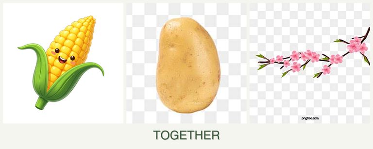 Can you plant corn, potatoes and peaches together?