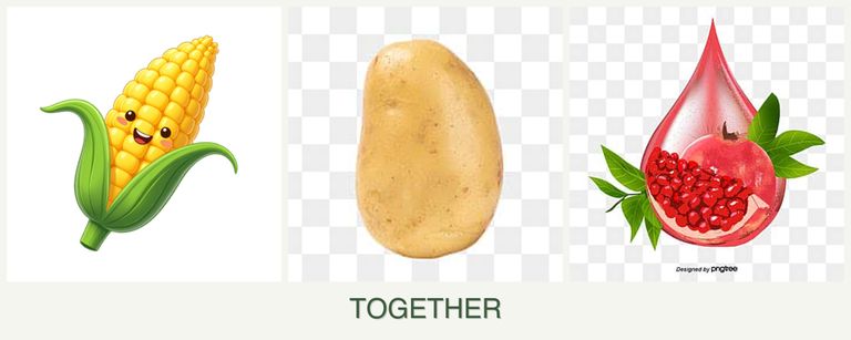 Can you plant corn, potatoes and pomegranates together?