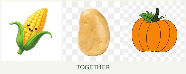 Can you plant corn, potatoes and pumpkin together?