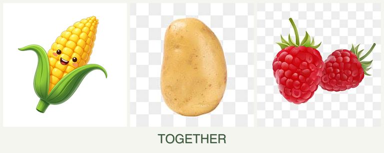 Can you plant corn, potatoes and raspberries together?