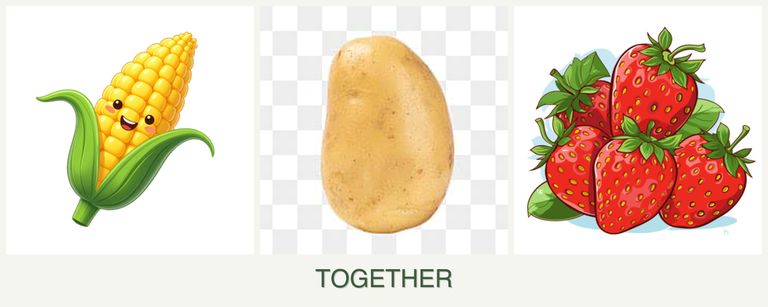 Can you plant corn, potatoes and strawberries together?