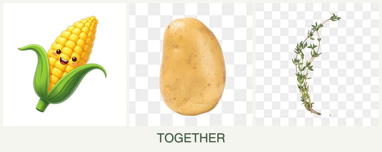 Can you plant corn, potatoes and thyme together?
