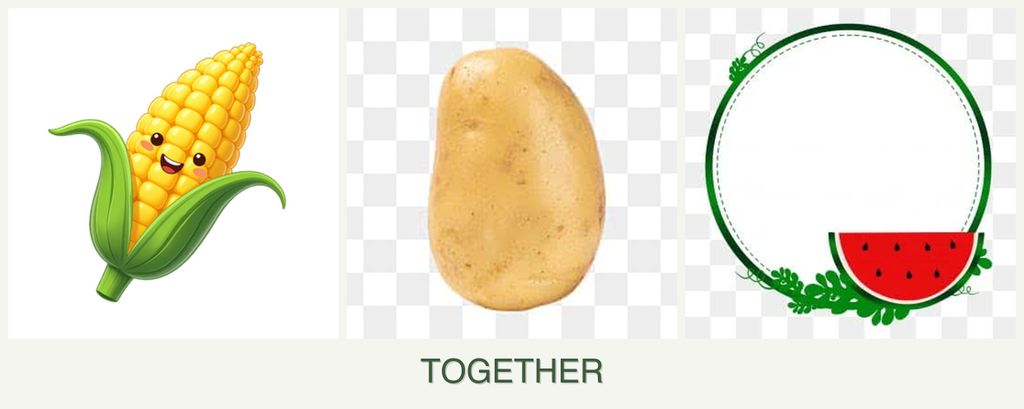 Can you plant corn, potatoes and watermelons together?
