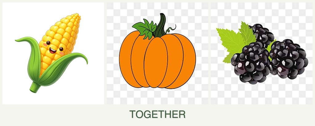 Can you plant corn, pumpkin and blackberries together?
