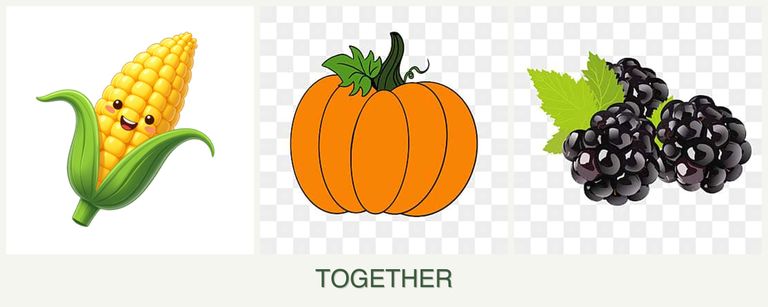 Can you plant corn, pumpkin and blackberries together?