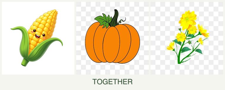 Can you plant corn, pumpkin and calendula together?
