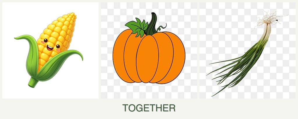 Can you plant corn, pumpkin and chives together?