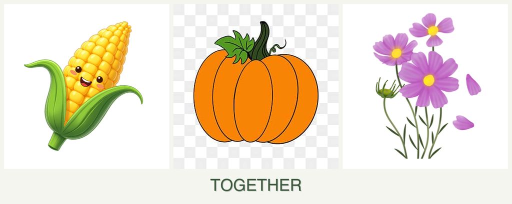 Can you plant corn, pumpkin and cosmos together?