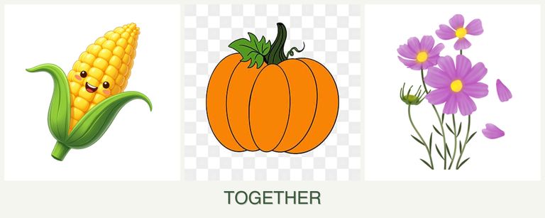 Can you plant corn, pumpkin and cosmos together?