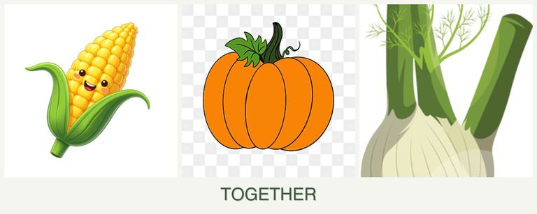 Can you plant corn, pumpkin and fennel together?