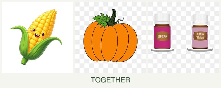 Can you plant corn, pumpkin and geraniums together?