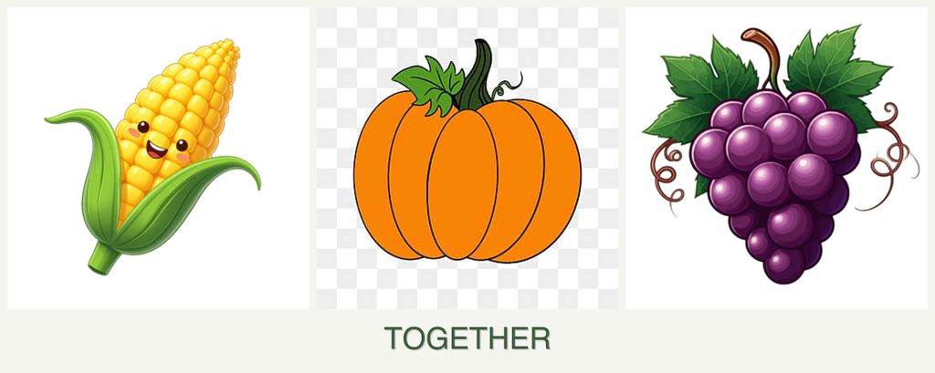 Can you plant corn, pumpkin and grapes together?
