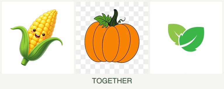 Can you plant corn, pumpkin and mint together?