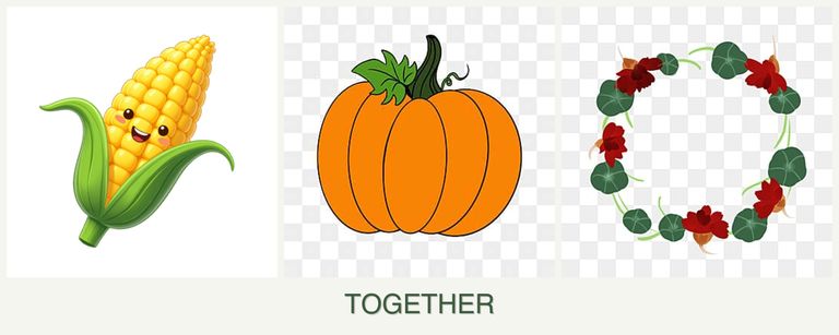 Can you plant corn, pumpkin and nasturtiums together?