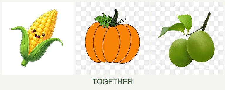 Can you plant corn, pumpkin and plums together?