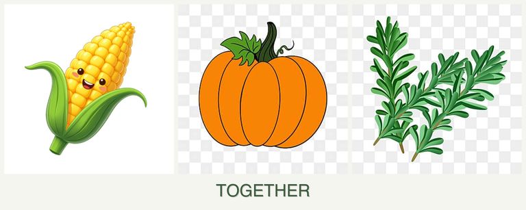 Can you plant corn, pumpkin and rosemary together?
