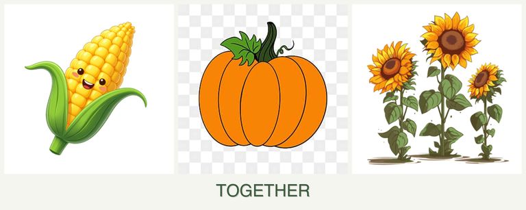 Can you plant corn, pumpkin and sunflowers together?