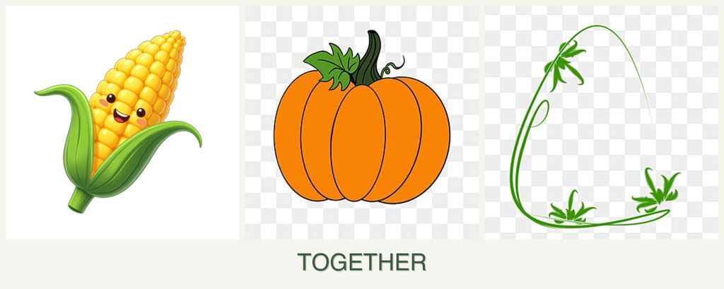 Can you plant corn, pumpkin and tarragon together?