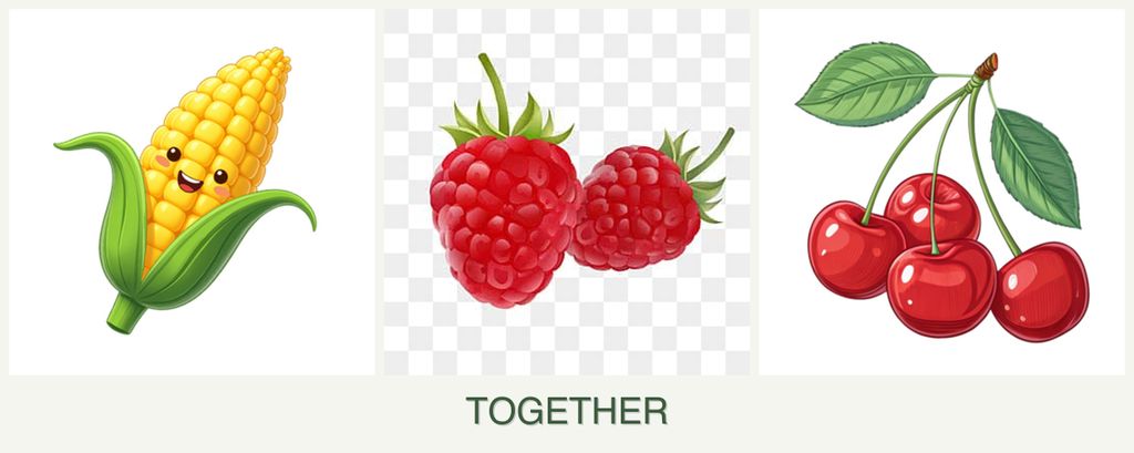 Can you plant corn, raspberries and cherries together?