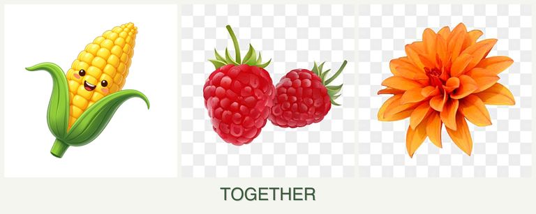 Can you plant corn, raspberries and dahlias together?