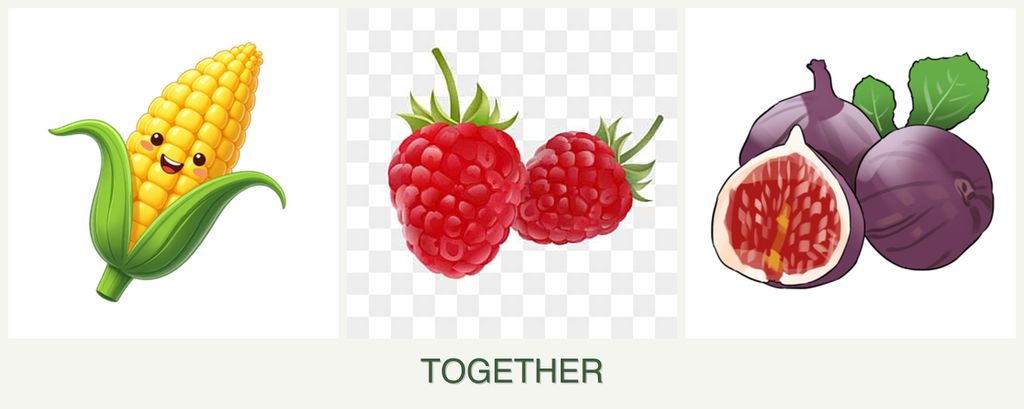 Can you plant corn, raspberries and figs together?