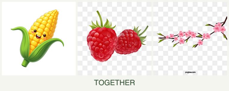 Can you plant corn, raspberries and peaches together?