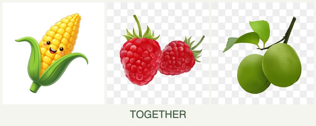 Can you plant corn, raspberries and plums together?