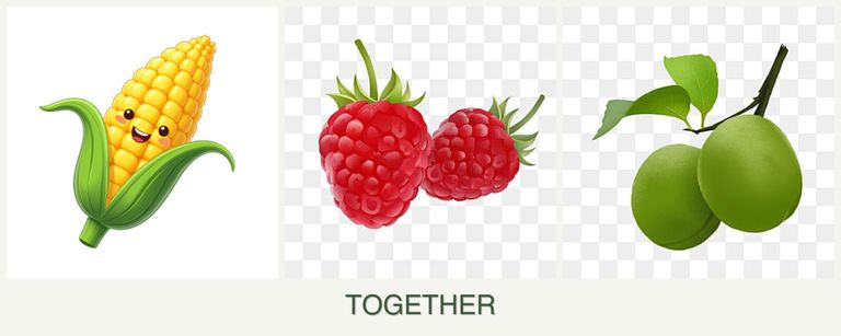 Can you plant corn, raspberries and plums together?