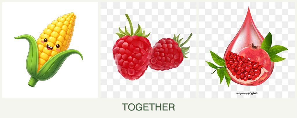 Can you plant corn, raspberries and pomegranates together?
