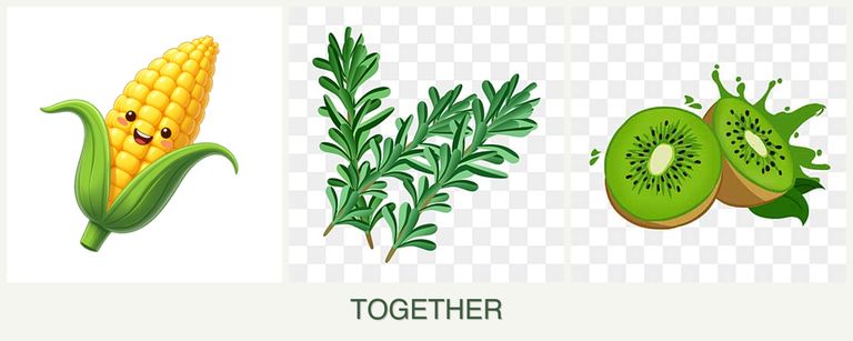 Can you plant corn, rosemary and kiwi together?