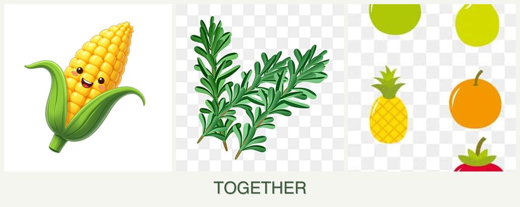 Can you plant corn, rosemary and pears together?