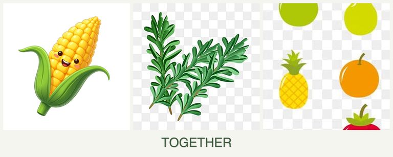 Can you plant corn, rosemary and pears together?