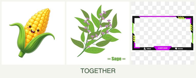 Can you plant corn, sage and limes together?