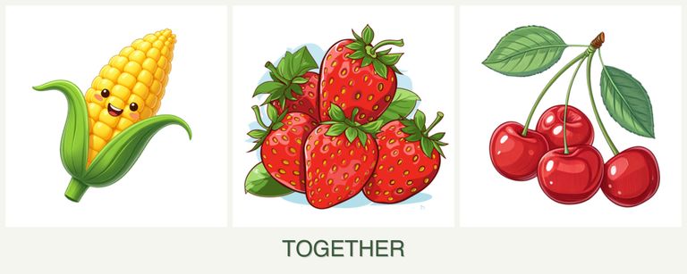 Can you plant corn, strawberries and cherries together?
