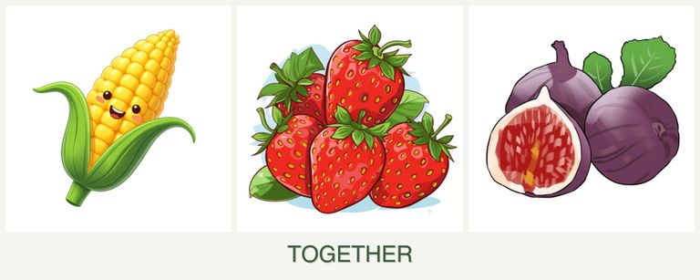 Can you plant corn, strawberries and figs together?
