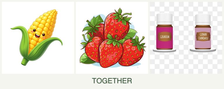 Can you plant corn, strawberries and geraniums together?