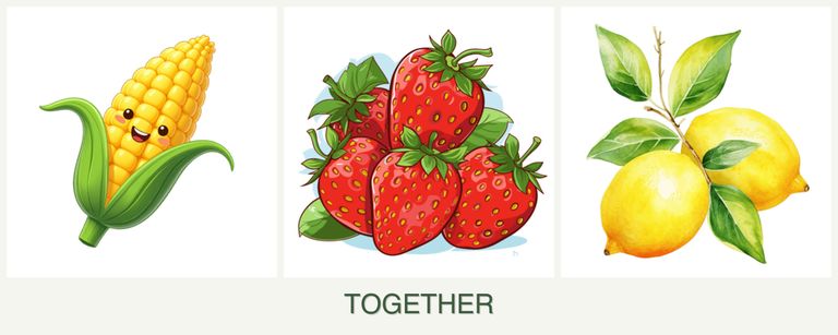 Can you plant corn, strawberries and lemons together?