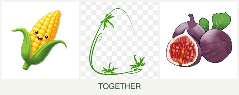 Can you plant corn, tarragon and figs together?