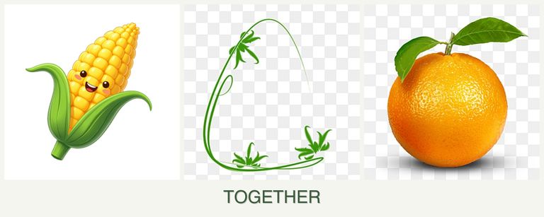 Can you plant corn, tarragon and oranges together?