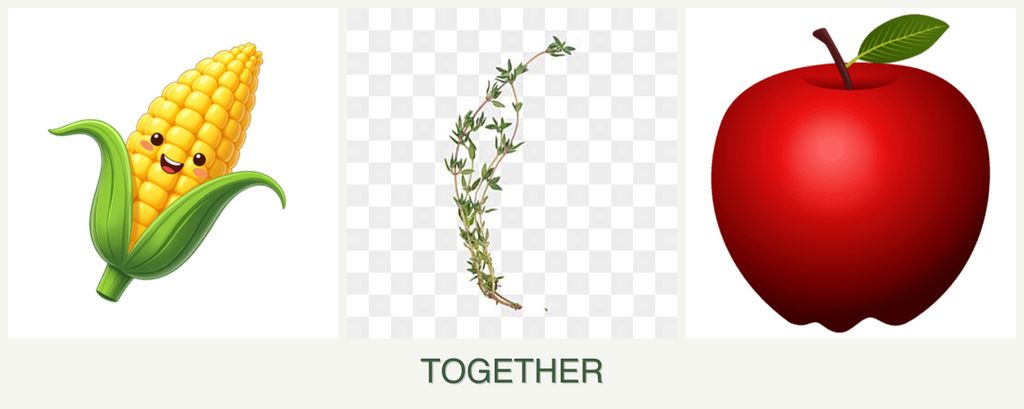 Can you plant corn, thyme and apples together?