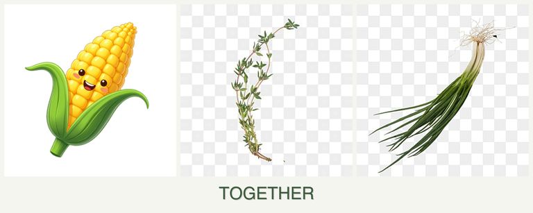 Can you plant corn, thyme and chives together?