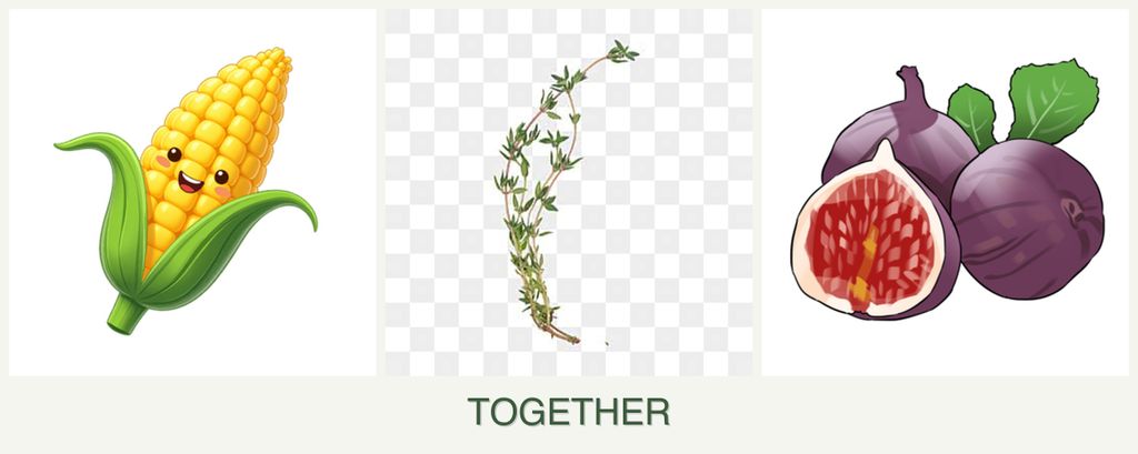 Can you plant corn, thyme and figs together?