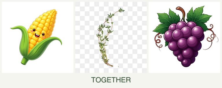 Can you plant corn, thyme and grapes together?