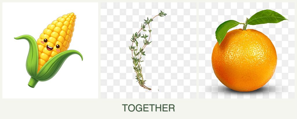 Can you plant corn, thyme and oranges together?